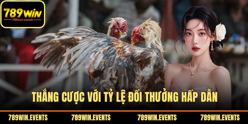 Thắng cược với tỷ lệ đổi thưởng hấp dẫn