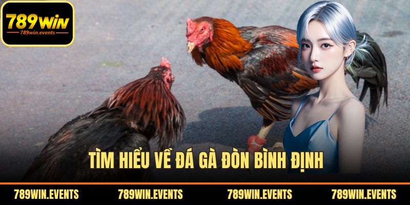 Tìm hiểu về đá gà đòn Bình Định